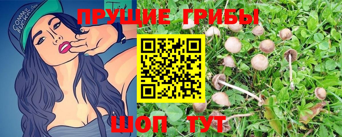 Галлюциногенные грибы мицелий  Галлюциногенные грибы MAGIC MUSHROOMS  где продают наркотики  Вход с VPN  Костомукша 