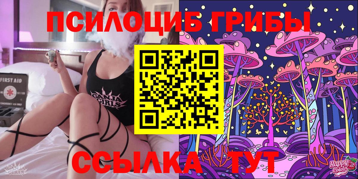 Псилоцибиновые грибы Psilocybine cubensis Костомукша